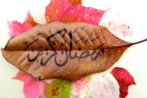 ramadaan-kareem-munira-amla